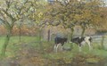 Calfs in the orchard - Geo Poggenbeek