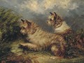 Terriers at a rabbit hole - George Armfield