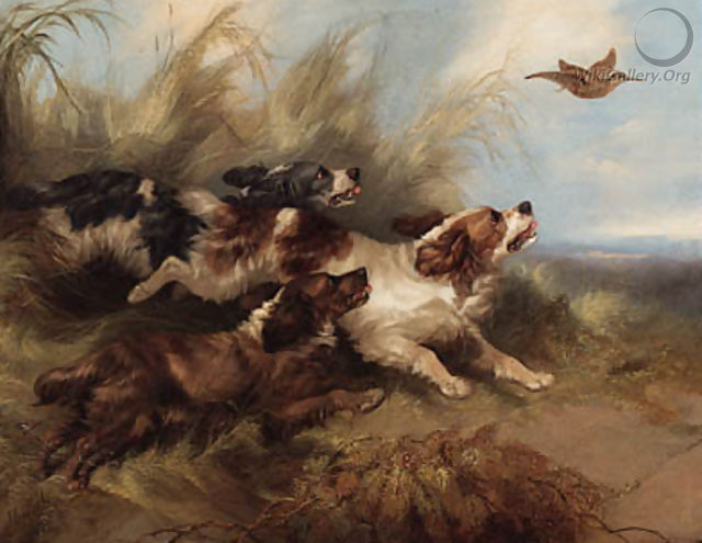 Spaniels putting up - George Armfield