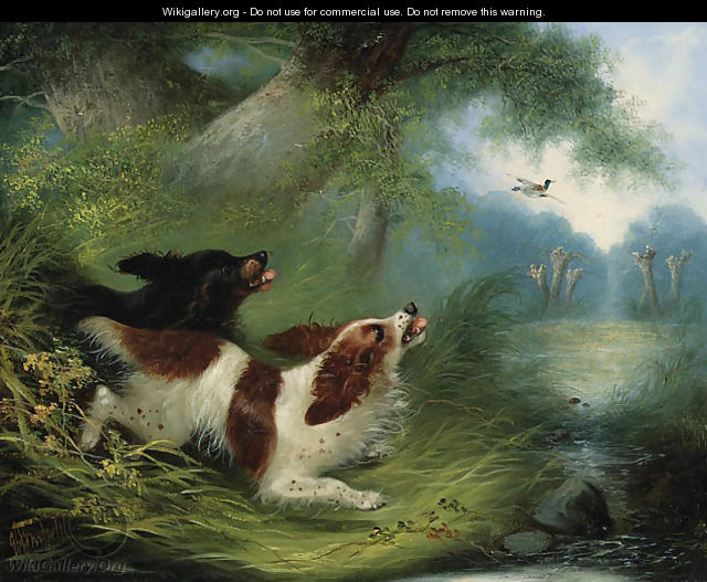 Spaniels putting up a Duck - George Armfield