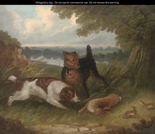 A terrier and spaniel with a hare - George Armfield