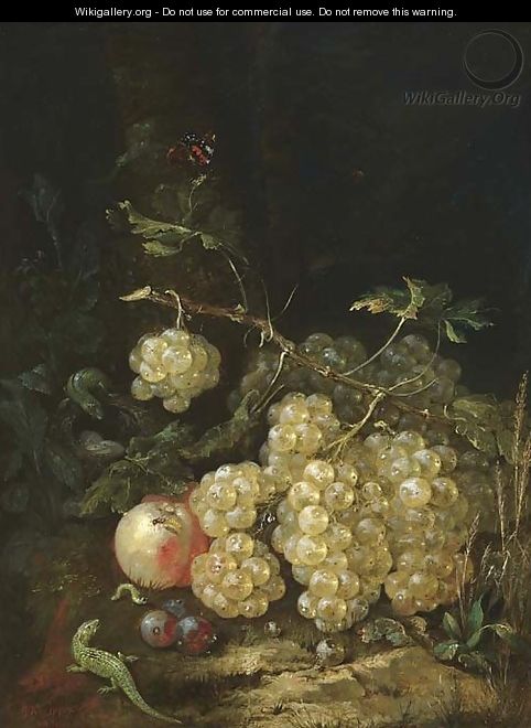 A still life with grapes - Georg Kneipp