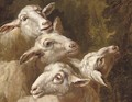 Studies of sheep - French School
