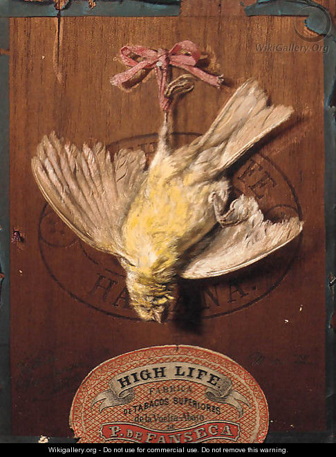 A hanging bird on the lid of a cigar box a trompe-l
