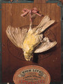 A hanging bird on the lid of a cigar box a trompe-l