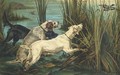 Gundogs with a snipe - French School