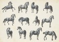 Twelve studies of horses - French School