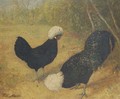Poland rooster and hen in a landscape - Frits Maris