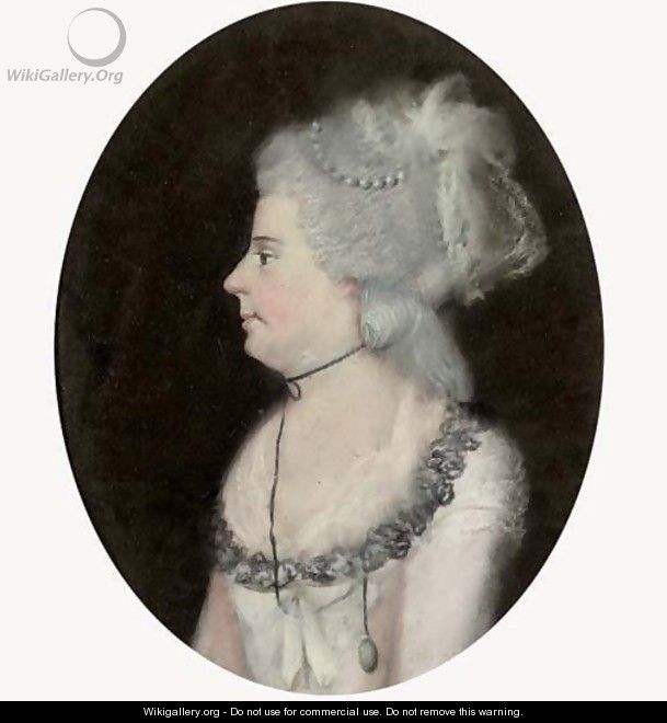 Portrait of a lady, bust-length, in profile to the left, in a lace shawl - French School