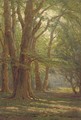 A sunlit forest - Frederik Golden Short