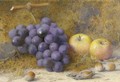 Still life with grapes, two apples and four hazlenuts - Frederick R. Spencer