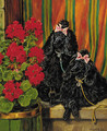 Pampered Pets - Frederick Thomas Daws