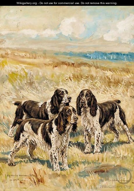 Champion Winning Number of Solway, Champion Dry Toast and Champion Nimble of Hamsey, three springer spaniels in a landscape - Frederick Thomas Daws