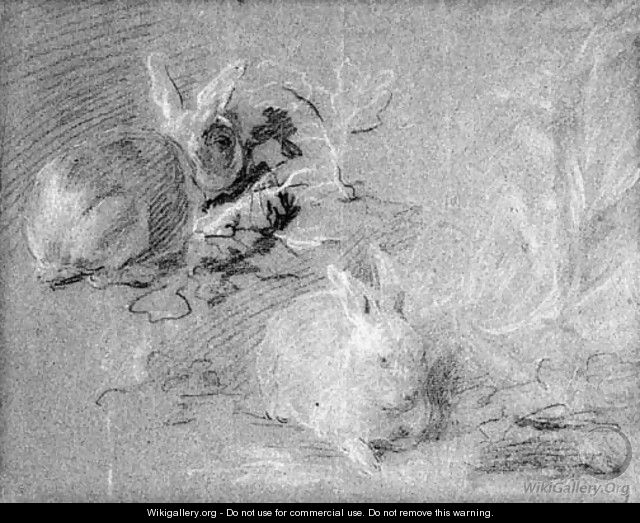 Two Rabbits - Franz Werner von Tamm