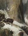 Chamois in a mountain landscape - Franz Von Pausinger