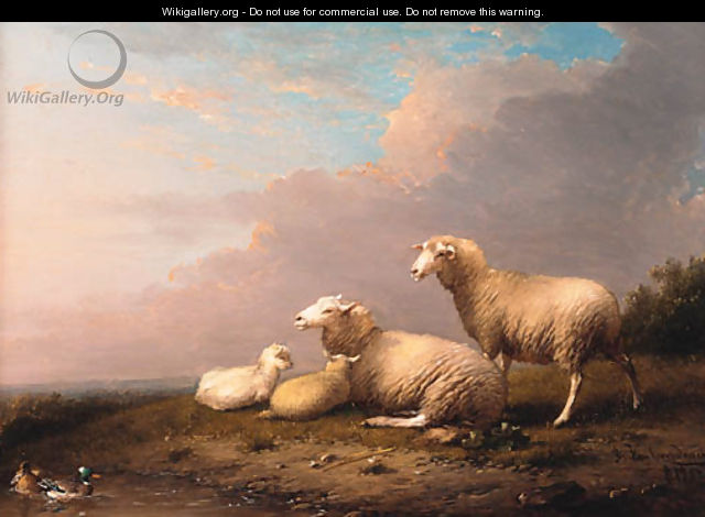 Sheep in a landscape - Franz van Severdonck
