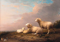 Sheep in a landscape - Franz van Severdonck