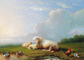 Sheep grazing with chickens and ducks - Franz van Severdonck