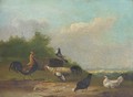 Hens and a pigeon in a landscape - Franz van Severdonck