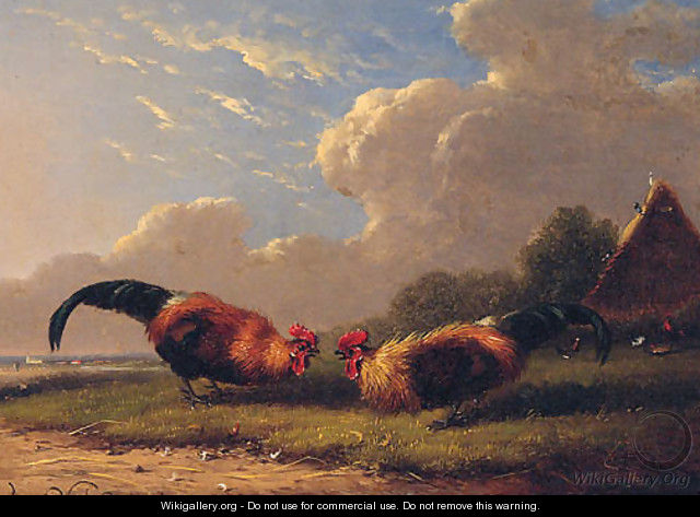 Cockerels - Franz van Severdonck