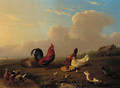 Chickens, ducks and pigeons in a landscape - Franz van Severdonck