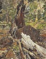 A Fallen Tree, Canyon Creek, Wyoming - Frank Tenney Johnson