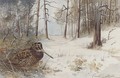 Woodcock in winter - Frank Southgate