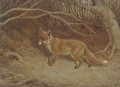 The wily fox - Frank Paton