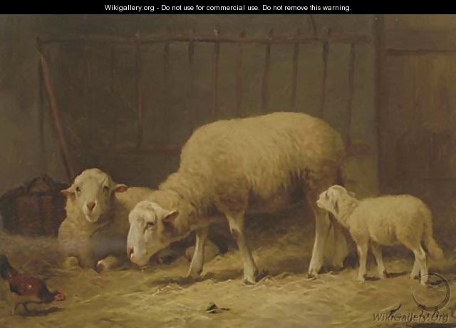 Sheep in a stable - Frans De Beul