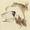 Study of dead game woodcock, oyster catcher and hare - Joseph Mallord William Turner
