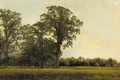 The Spring Field - John William Casilear