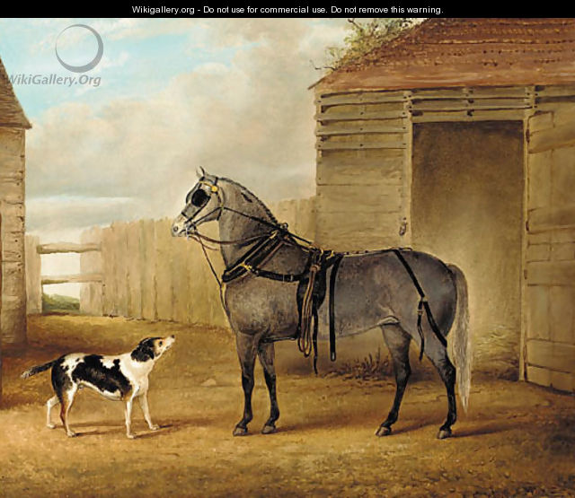A saddled grey horse and a dog by a barn - John Vine