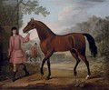The Leedes Arabian, being led by a groom, in a landscape - John Wootton