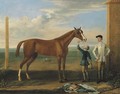 Bald Charlotte, also known as Lady Legs, a chestnut mare, held by a groom, with a jockey, at Newmarket - John Wootton