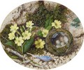 Primroses, a crocus and a bird's nest, on a mossy bank - John Sherrin