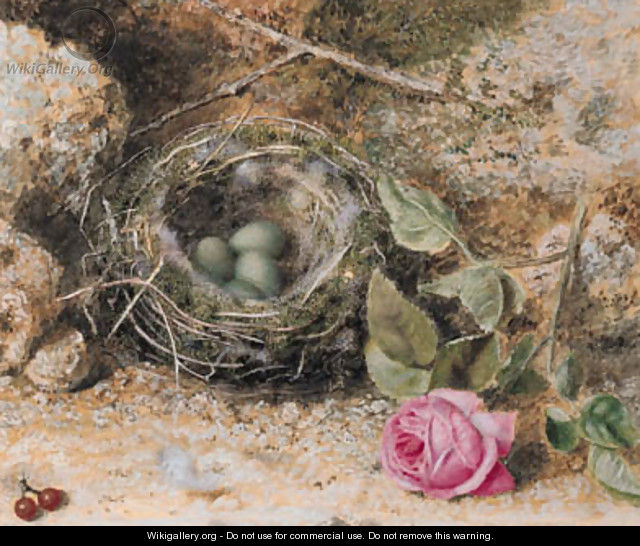 Still life with a birds nest, redcurrants and a rose - John Sherrin