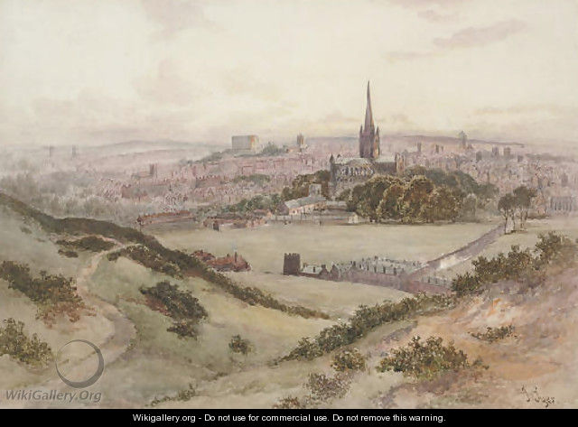 An extensive view of Norwich - John Syer