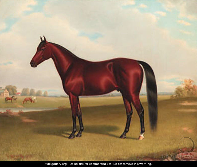 Rubini, A Bay Horse in a Lanscape - John McAuliffe