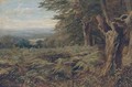 At the edge of the forest - John MacWhirter