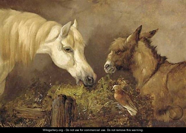 A horse, donkey, and a dove - John Morris
