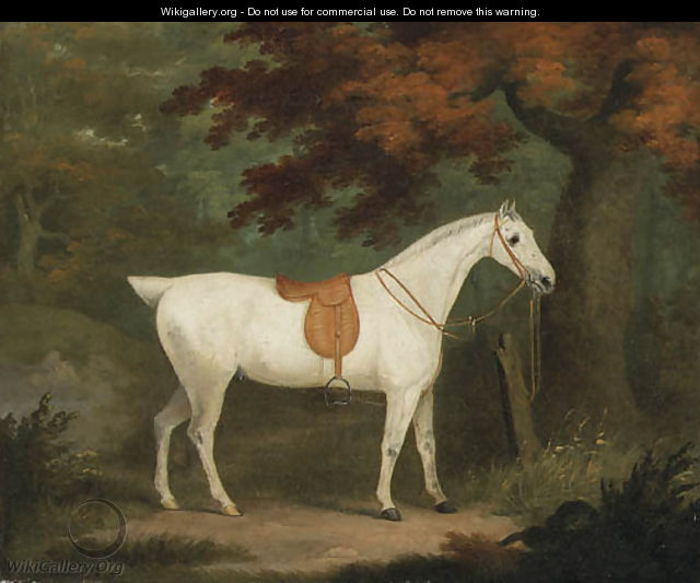 A saddled grey Hunter in a wooded Landscape - John Nost Sartorius