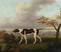 A pointer with a hare in an extensive landscape - John Nost Sartorius