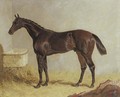 Birmingham, winner of the 1830 St. Leger Stakes, in a stable - John Frederick Herring Snr