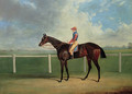 Bessy Bedlam, a bay racehorse with T. Nicholson up, on a racecourse - John Frederick Herring Snr