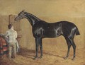 A racehorse in a stable with a groom - John Frederick Herring Snr