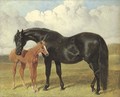 A mare and foal in a landscape - John Frederick Herring Snr