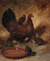 A hen and chicks - John Frederick Herring Snr