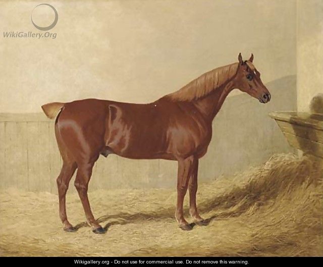 A chestnut in a stable - John Frederick Herring Snr