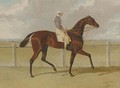 Chorister, with jockey up, at Six Mile Bottom - John Frederick Herring, Jnr.
