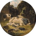 Berkshire saddlebacks with pigs and piglets in a farmyard - John Frederick Herring, Jnr.